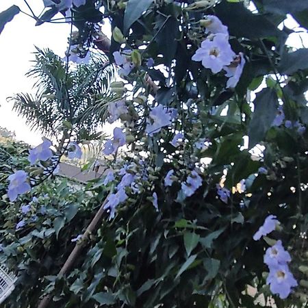 Recanto Duas Rosas Venda Nova do Imigrante Zewnętrze zdjęcie